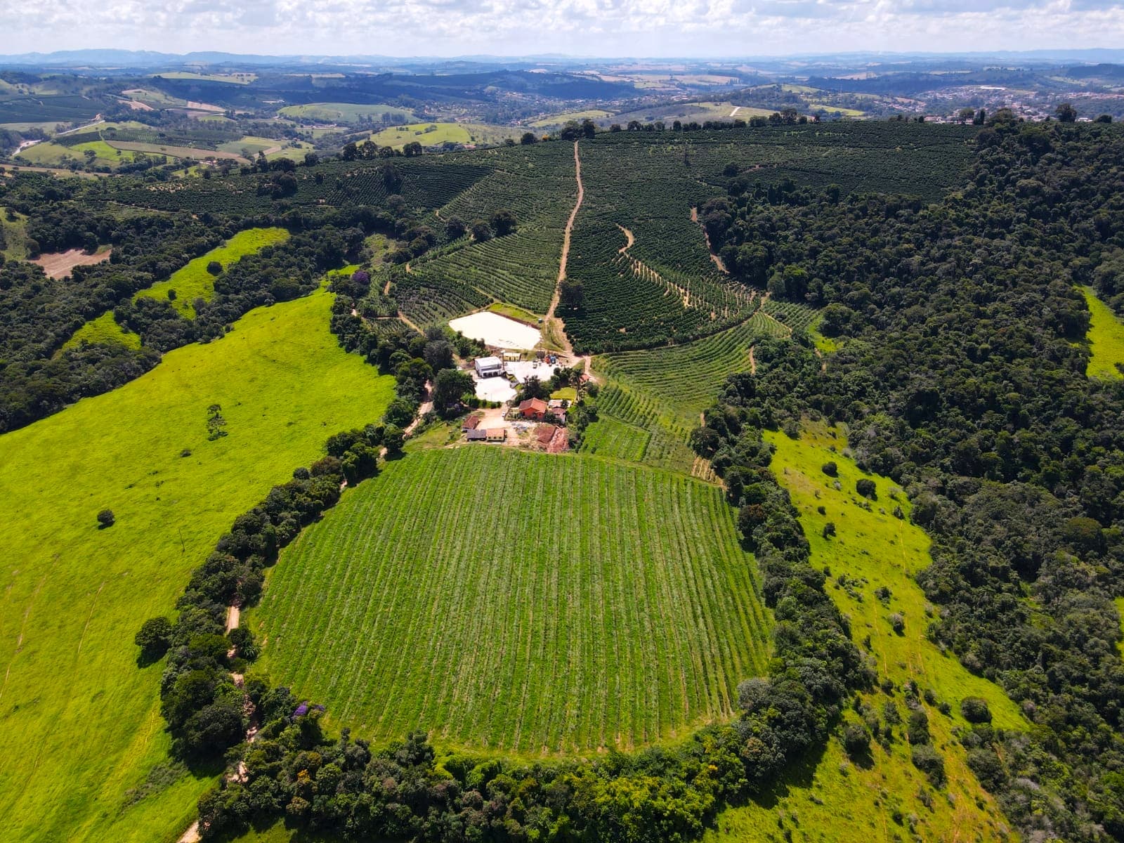 Fazenda Cambú Coffee — campo de café especial em Minas Gerais